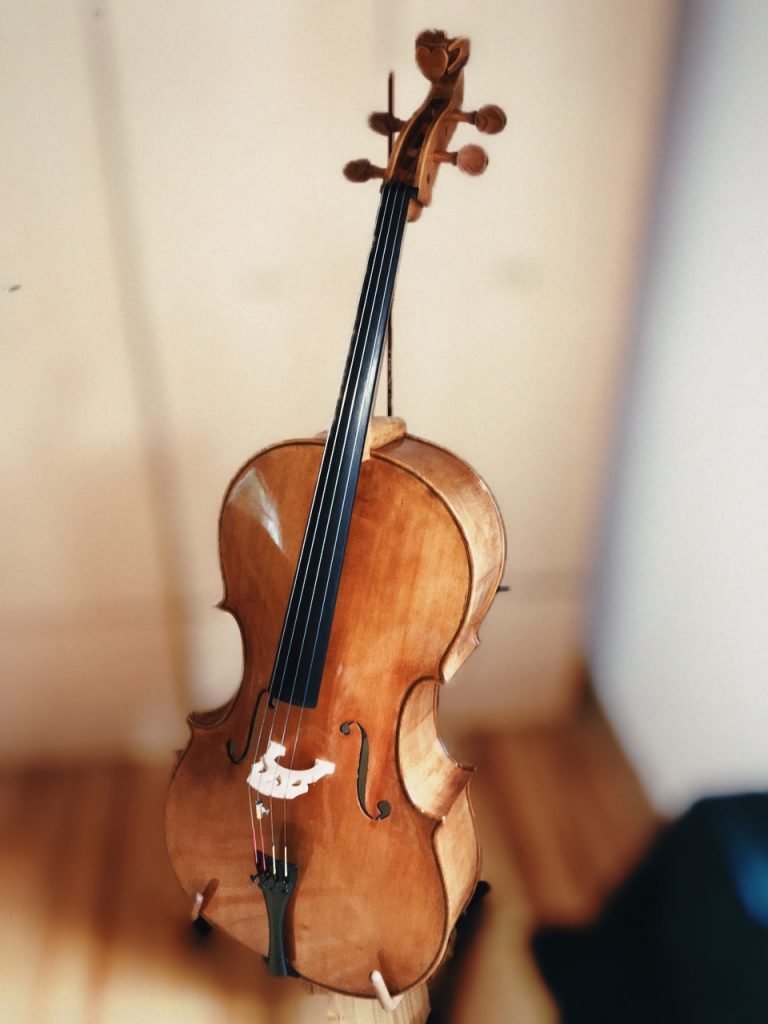 Galway Cello Image standing