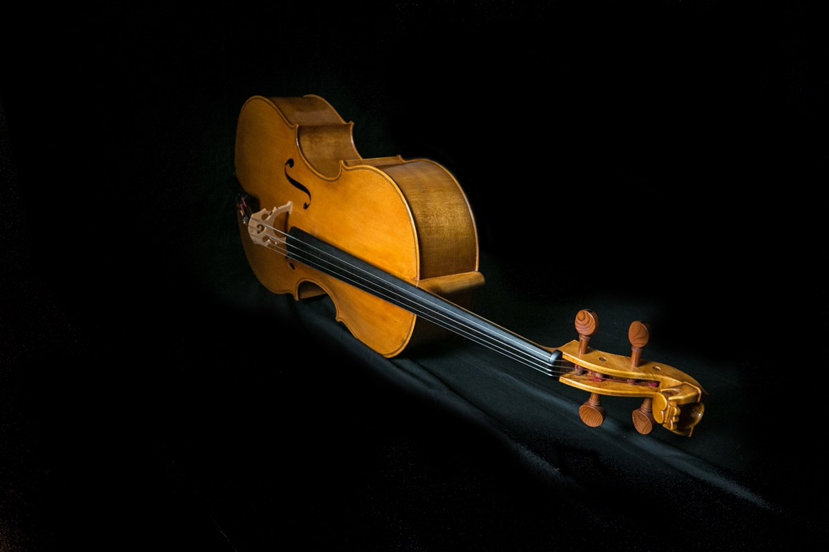 The Galway Cello made by the extremly talented Kuros Torkzadeh © Anita Murphy 2021