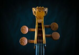 The Galway Cello made by the extremly talented Kuros Torkzadeh © Anita Murphy 2021
